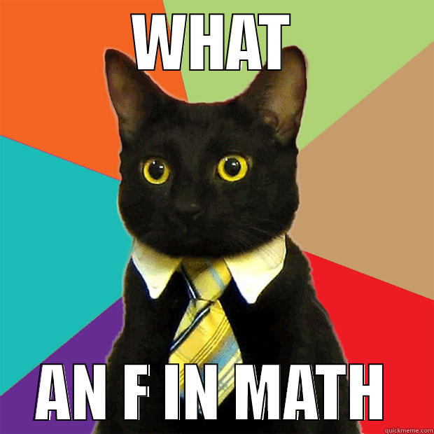 WHAT AN F IN MATH Business Cat