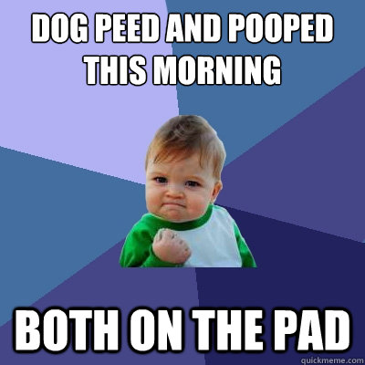 Dog peed and pooped this morning both on the pad  Success Kid