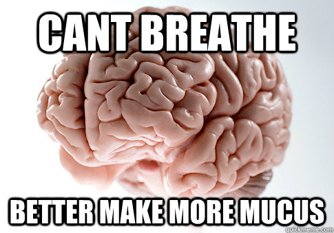 Cant breathe better make more mucus - Cant breathe better make more mucus  Scumbag Brain