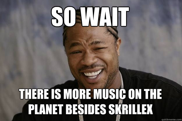 So wait there is more music on the planet besides skrillex  Xzibit meme