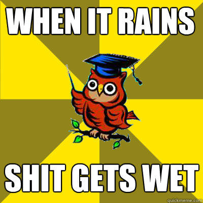 when it rains shit gets wet - when it rains shit gets wet  Observational Owl