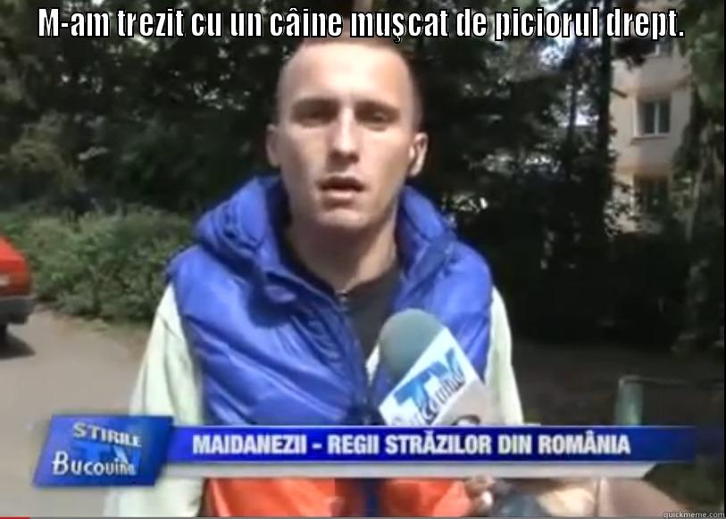 M-AM TREZIT CU UN CÂINE MUŞCAT DE PICIORUL DREPT.  Misc