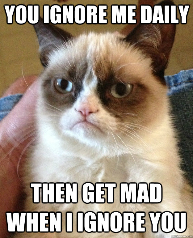 You ignore me daily Then get mad when i ignore you  Grumpy Cat