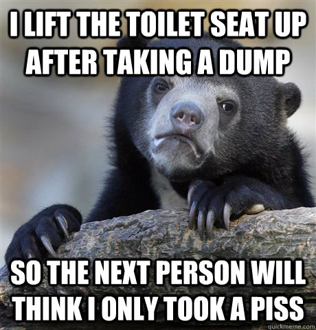 i lift the toilet seat up after taking a dump so the next person will think i only took a piss  Confession Bear