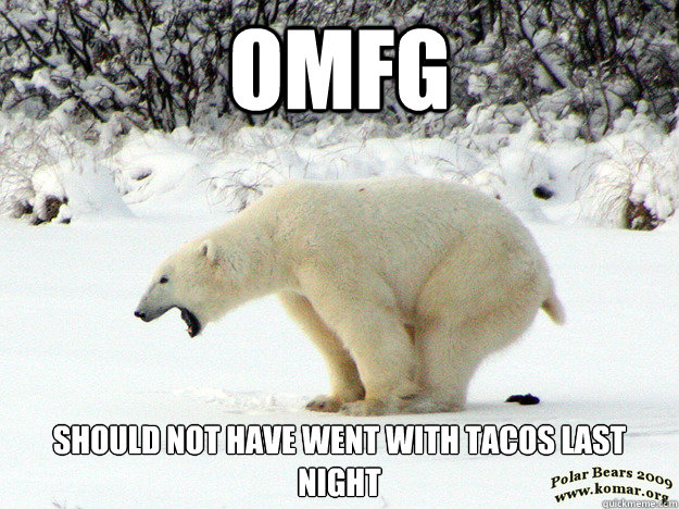 omfg should not have went with tacos last night - omfg should not have went with tacos last night  Worst Shit Polar Bear