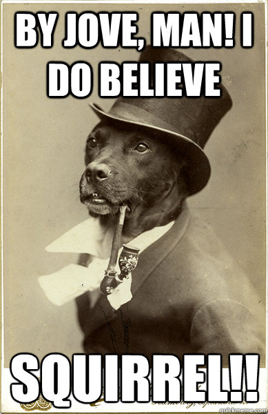 BY JOVE, MAN! I DO BELIEVE  SQUIRREL!!!!!!  Old Money Dog