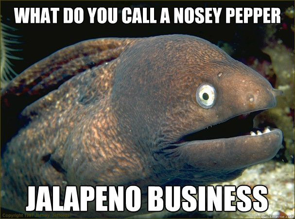 what do you call a nosey pepper jalapeno business - what do you call a nosey pepper jalapeno business  Bad Joke Eel