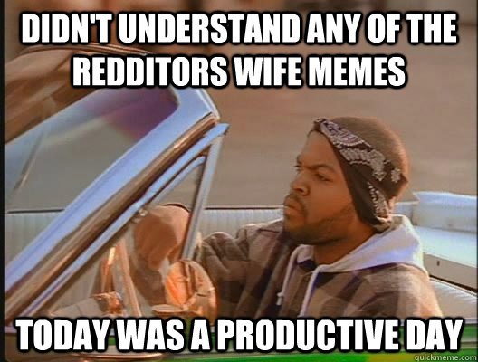 didn't understand any of the Redditors wife memes Today was a productive day  today was a good day