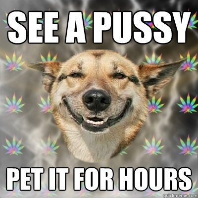 see a pussy pet it for hours  Stoner Dog