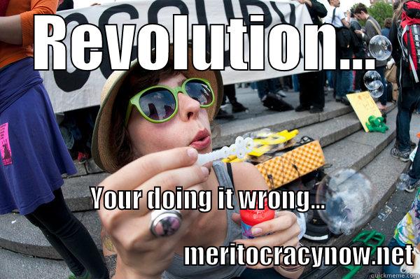 REVOLUTION... YOUR DOING IT WRONG...                                                                                                                       MERITOCRACYNOW.NET Misc