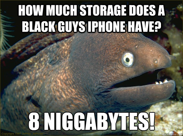 How much storage does a black guys iphone have? 8 niggabytes!  Bad Joke Eel