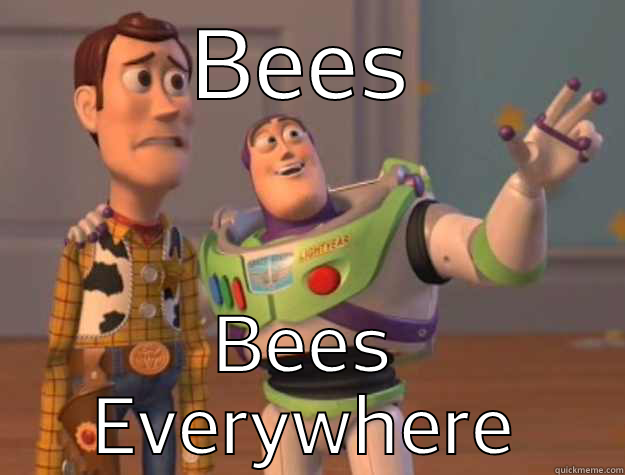 BEES BEES EVERYWHERE Toy Story