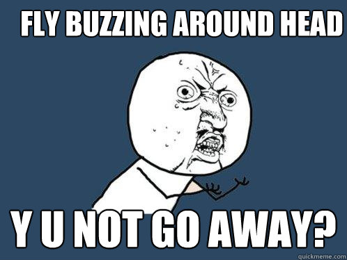 Fly Buzzing Around Head Y U Not Go Away?  Y U No