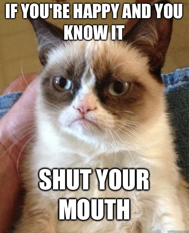 If you're happy and you know it Shut your mouth  Grumpy Cat