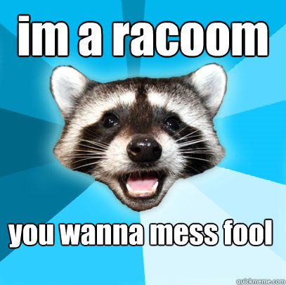 im a racoom you wanna mess fool - im a racoom you wanna mess fool  Lame Pun Coon