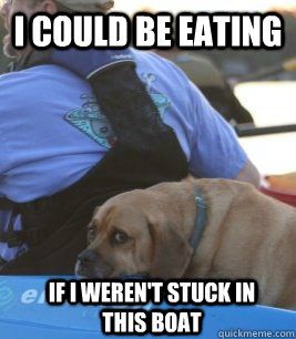 I could be eating if i weren't stuck in this boat - I could be eating if i weren't stuck in this boat  Emo Dog