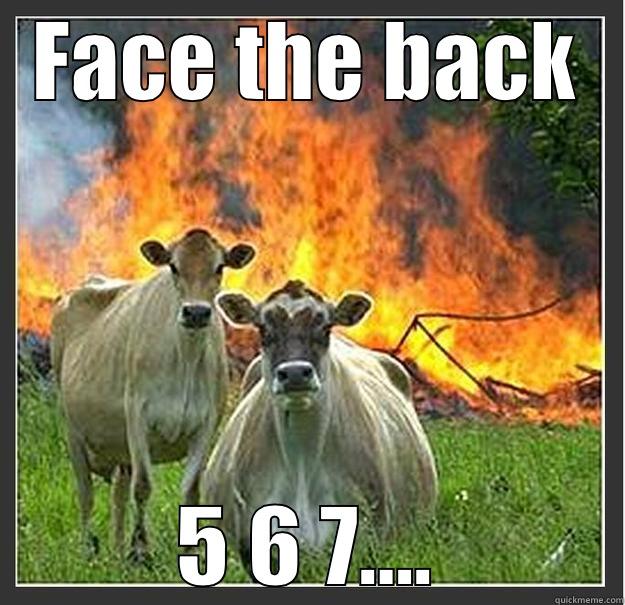 FACE THE BACK 5 6 7…. Evil cows