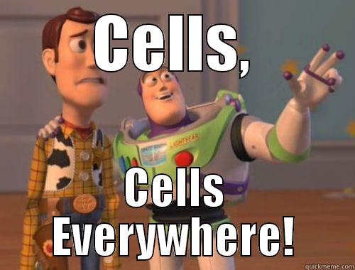 Science Homework - CELLS, CELLS EVERYWHERE! Misc