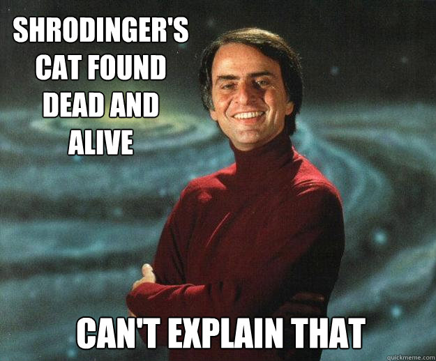 Shrodinger's  cat found dead and alive Can't explain that  - Shrodinger's  cat found dead and alive Can't explain that   Clueless Carl