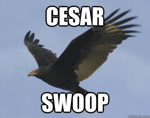 Cesar Swoop  Lame Pun Vulture