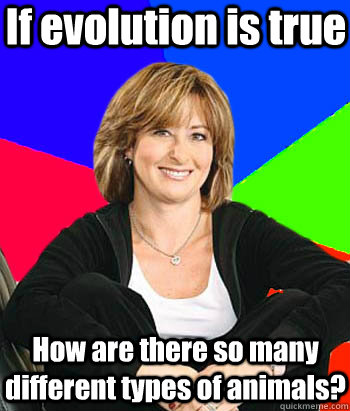 If evolution is true How are there so many different types of animals? - If evolution is true How are there so many different types of animals?  Sheltering Suburban Mom