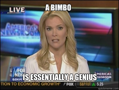 A Bimbo Is essentially a genius  Megyn Kelly