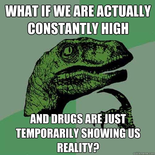 What if we are actually constantly high And drugs are just temporarily showing us reality?  Philosoraptor