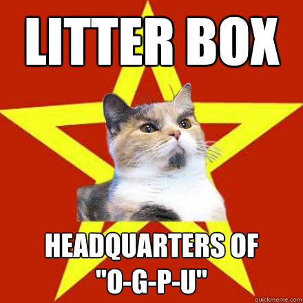 Litter Box Headquarters of         