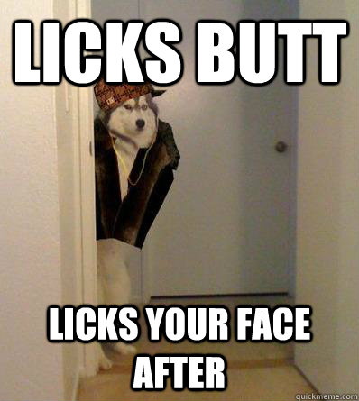 LICKS BUTT LICKS YOUR FACE AFTER  Scumbag dog