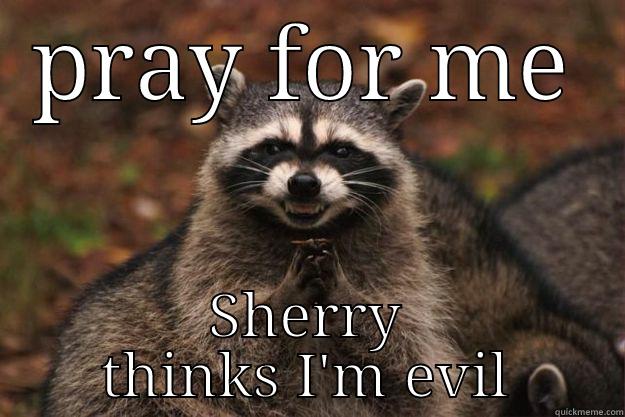 personal Bullshit - PRAY FOR ME SHERRY THINKS I'M EVIL Evil Plotting Raccoon