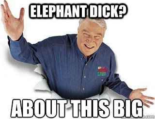 Elephant DICK? About this big  Obvious John Madden