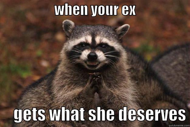                     WHEN YOUR EX                          GETS WHAT SHE DESERVES Evil Plotting Raccoon