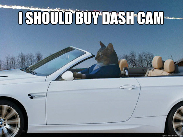 I should buy dash cam - I should buy dash cam  Sophisticated Russian Cat