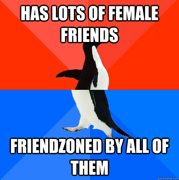 Has lots of female friends friendzoned by all of them - Has lots of female friends friendzoned by all of them  Socially Awesome Awkward Penguin