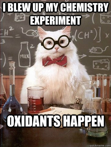 I blew up my chemistry experiment  Oxidants happen  Chemistry Cat