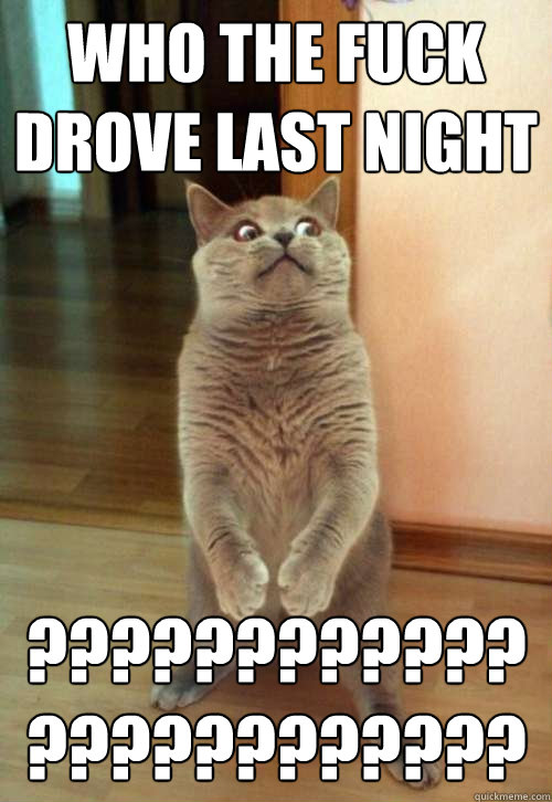 WHO THE FUCK DROVE LAST NIGHT ???????????????????????? - WHO THE FUCK DROVE LAST NIGHT ????????????????????????  Horrorcat