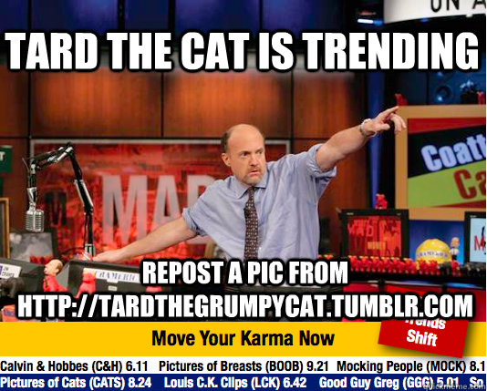 Tard the cat is trending  repost a pic from http://tardthegrumpycat.tumblr.com  Mad Karma with Jim Cramer