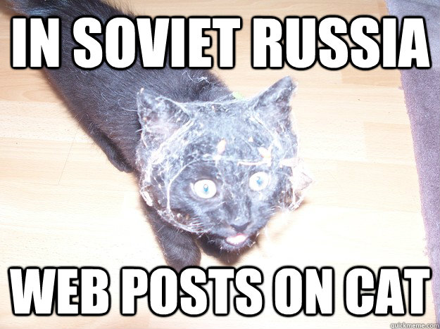 In Soviet Russia web posts on cat  