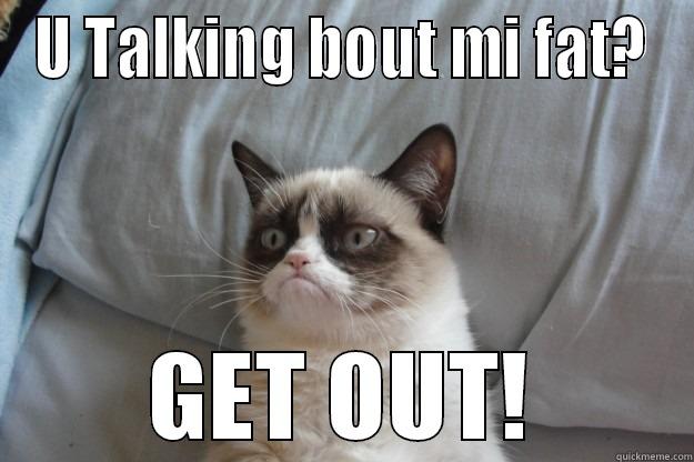 U TALKING BOUT MI FAT? GET OUT! Grumpy Cat