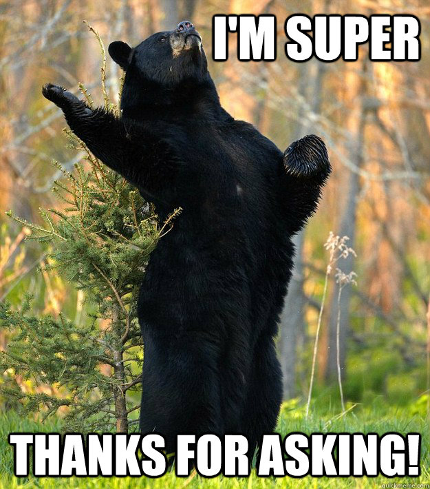 I'm super Thanks for asking! - I'm super Thanks for asking!  Fabulous bear is fabulous!