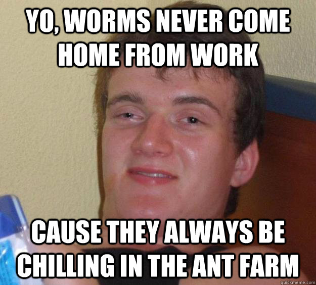 Yo, worms never come home from work Cause they always be chilling in the ant farm  10 Guy