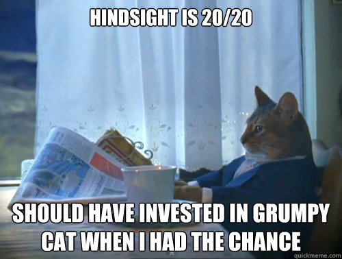 Hindsight is 20/20 should have invested in grumpy cat when i had the chance - Hindsight is 20/20 should have invested in grumpy cat when i had the chance  The One Percent Cat