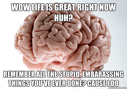 WOW LIFE IS GREAT RIGHT NOW HUH? REMEMBER ALL THE STUPID, EMBARASSING THINGS YOU'VE EVER DONE? CAUSE I DO   Scumbag Brain