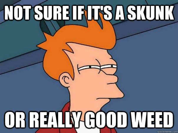 Not sure if it's a skunk Or really good weed - Not sure if it's a skunk Or really good weed  Futurama Fry