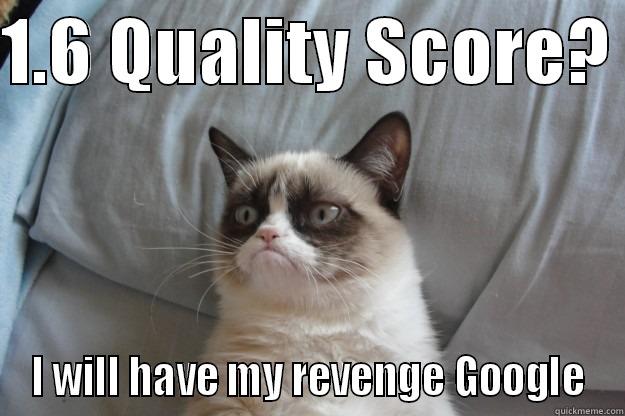 1.6 QUALITY SCORE?  I WILL HAVE MY REVENGE GOOGLE Grumpy Cat