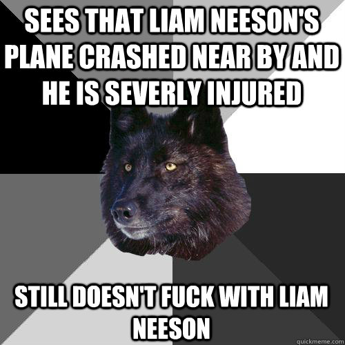 Sees that Liam Neeson's Plane Crashed Near by and he is severly injured Still Doesn't Fuck with liam Neeson  Sanity Wolf