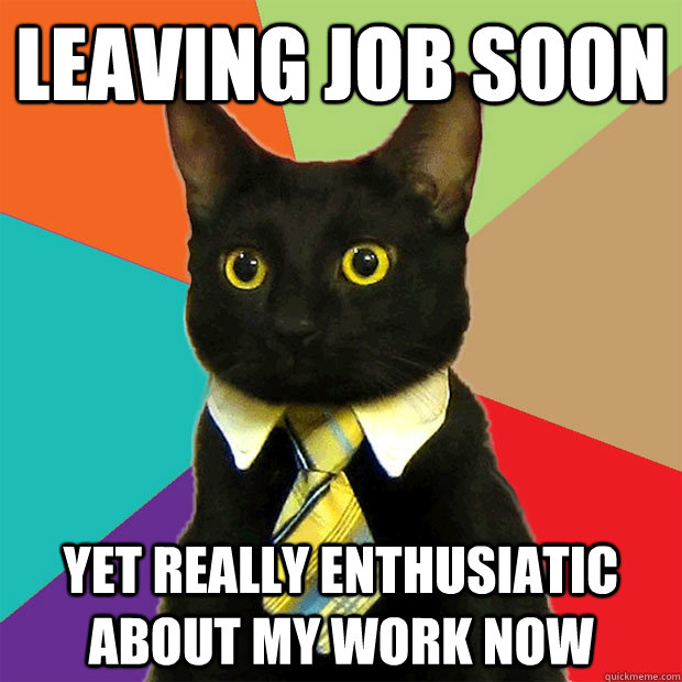 Leaving job soon yet Really enthusiatic about my work now  Business Cat