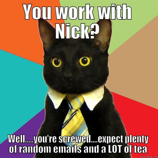 Accountant Cat - YOU WORK WITH NICK? WELL.....YOU'RE SCREWED....EXPECT PLENTY OF RANDOM EMAILS AND A LOT OF TEA Business Cat