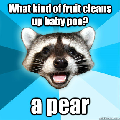 What kind of fruit cleans up baby poo? a pear - What kind of fruit cleans up baby poo? a pear  Lame Pun Coon