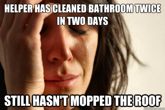 Helper has cleaned bathroom twice in two days Still hasn't mopped the roof  First World Problems